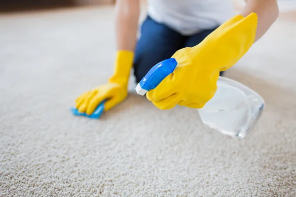 Upholstery Cleaning